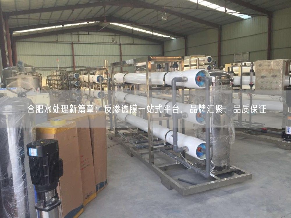 合肥水处理新篇章：反渗透膜一站式平台，品牌汇聚，品质保证(图1)
