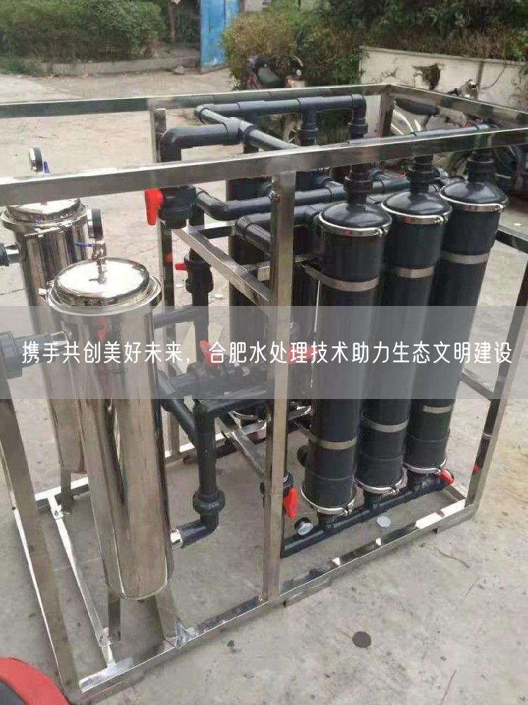 携手共创美好未来，合肥水处理技术助力生态文明建设(图1)